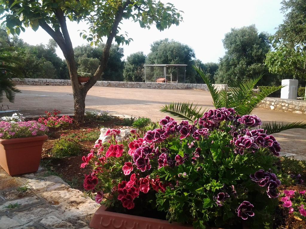 شقة La Collina Degli Ulivi فاسانو المظهر الخارجي الصورة
