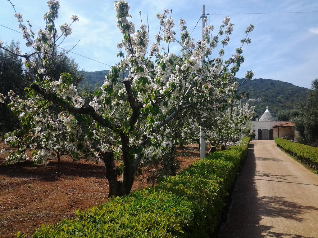 شقة La Collina Degli Ulivi فاسانو المظهر الخارجي الصورة