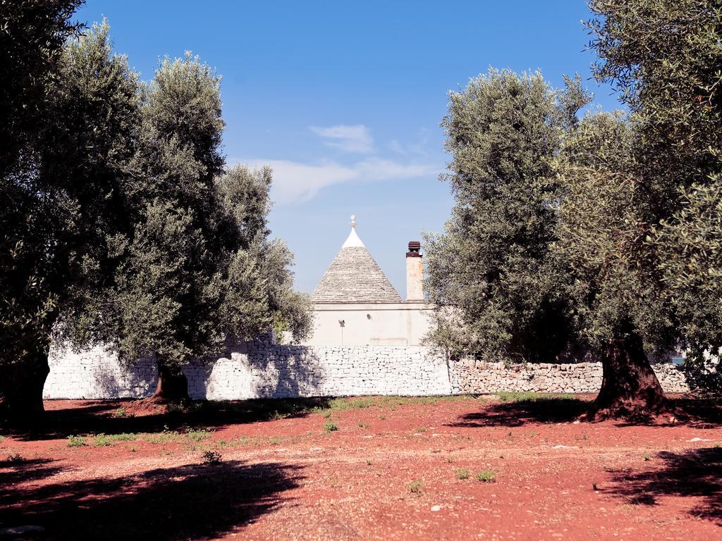 شقة La Collina Degli Ulivi فاسانو المظهر الخارجي الصورة