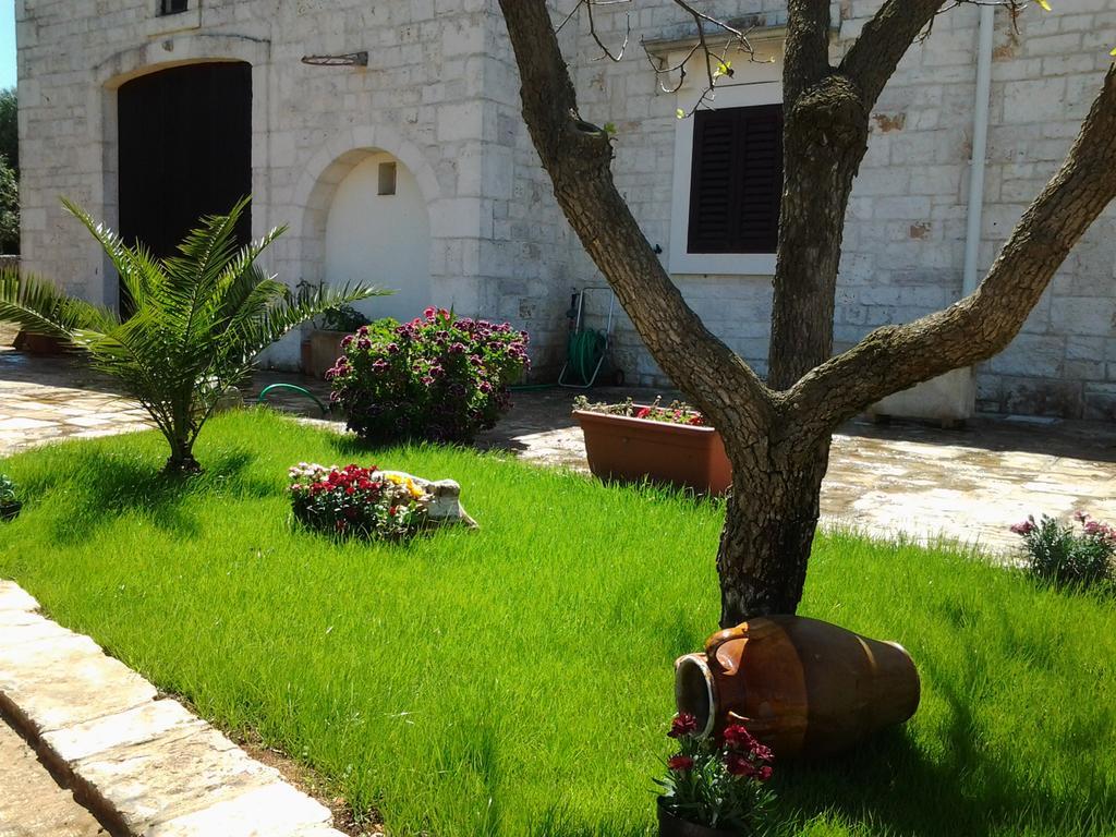 شقة La Collina Degli Ulivi فاسانو المظهر الخارجي الصورة