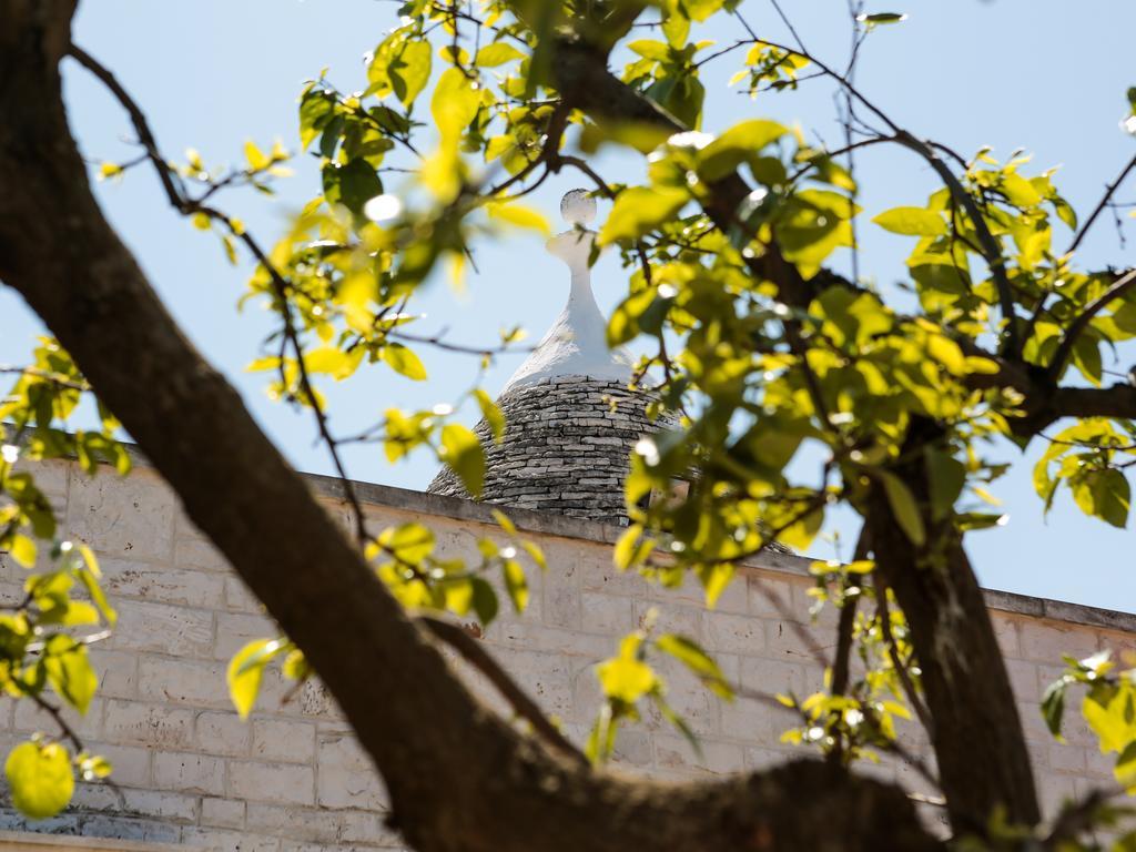 شقة La Collina Degli Ulivi فاسانو المظهر الخارجي الصورة