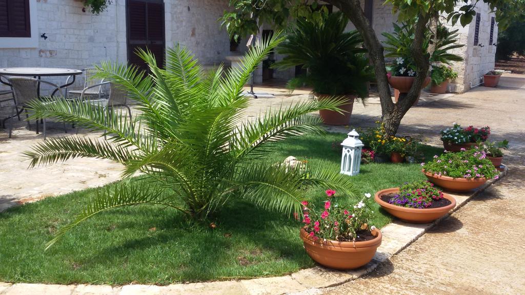 شقة La Collina Degli Ulivi فاسانو المظهر الخارجي الصورة