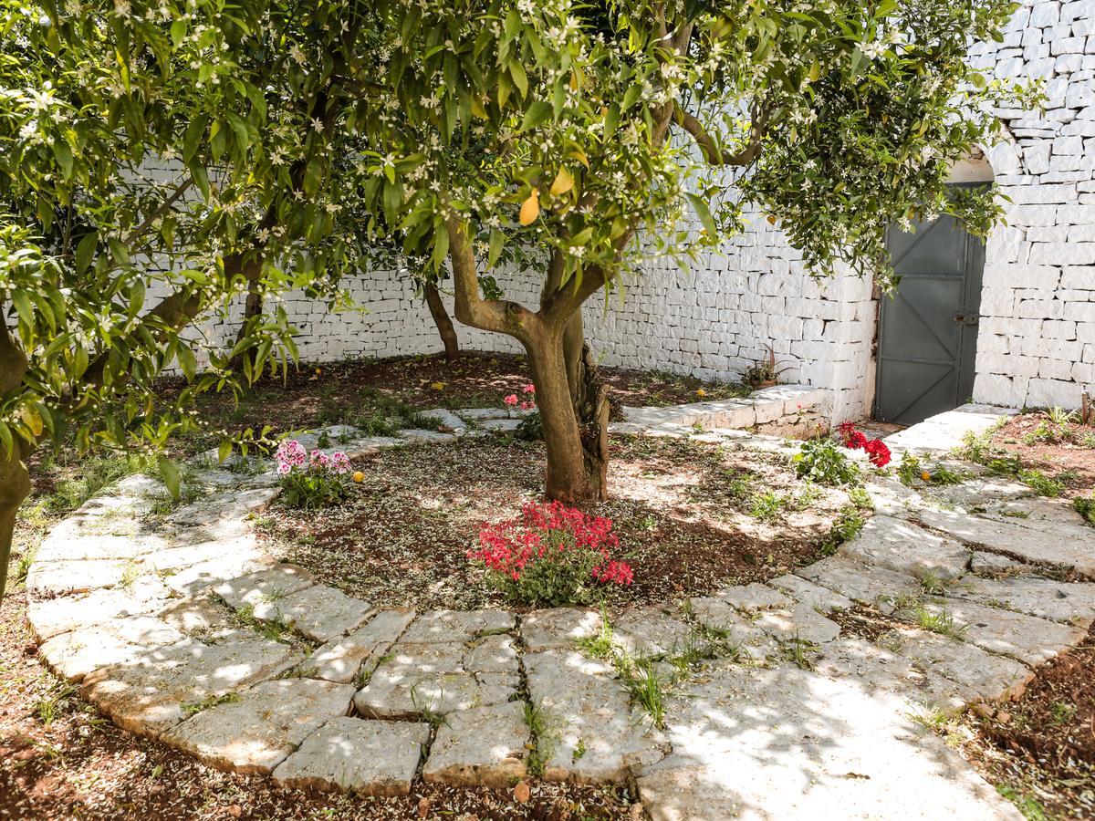 شقة La Collina Degli Ulivi فاسانو المظهر الخارجي الصورة
