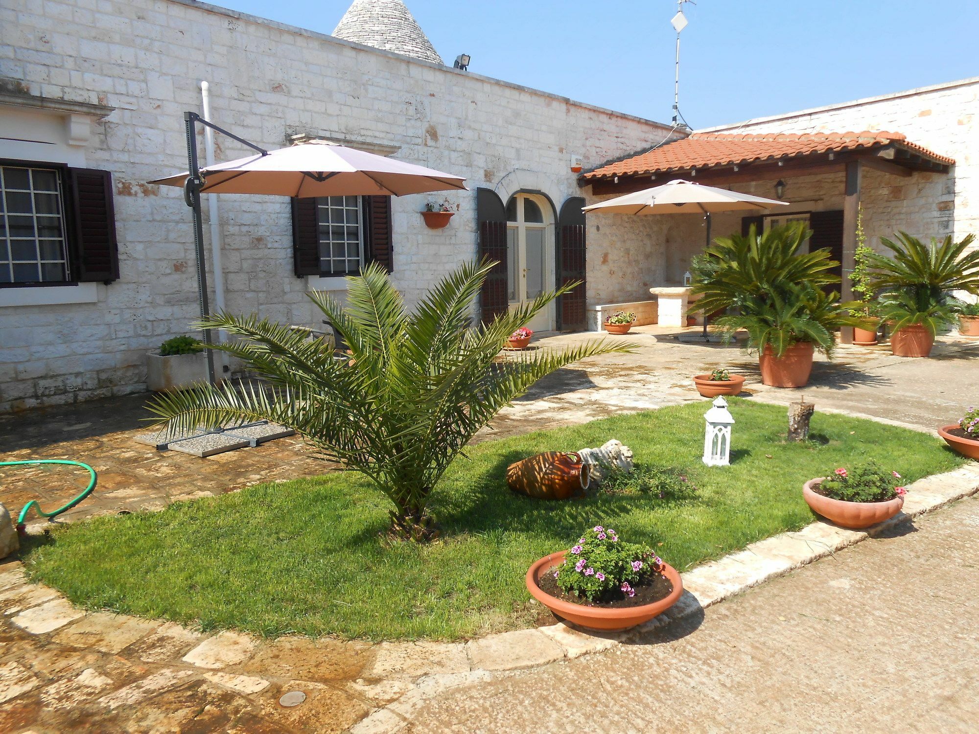 شقة La Collina Degli Ulivi فاسانو المظهر الخارجي الصورة